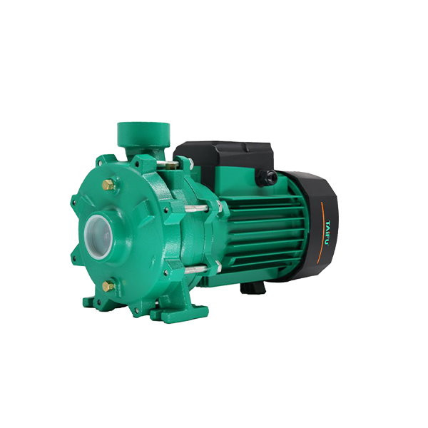 الکترو پمپ 2.5 اسب دو اینچ دو پروانه تایفو مدل TAIFU THF6B-4