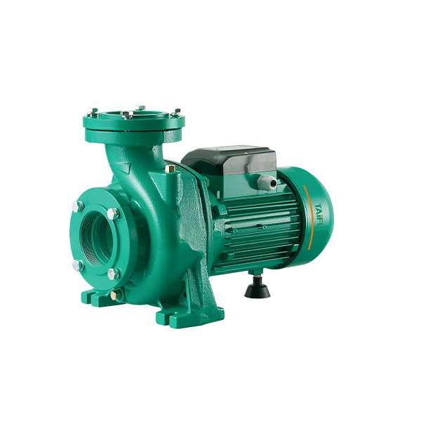 پمپ سانتریفیوژ 10 اسب 2 اینچ TAIFU تایفو مدل THF250