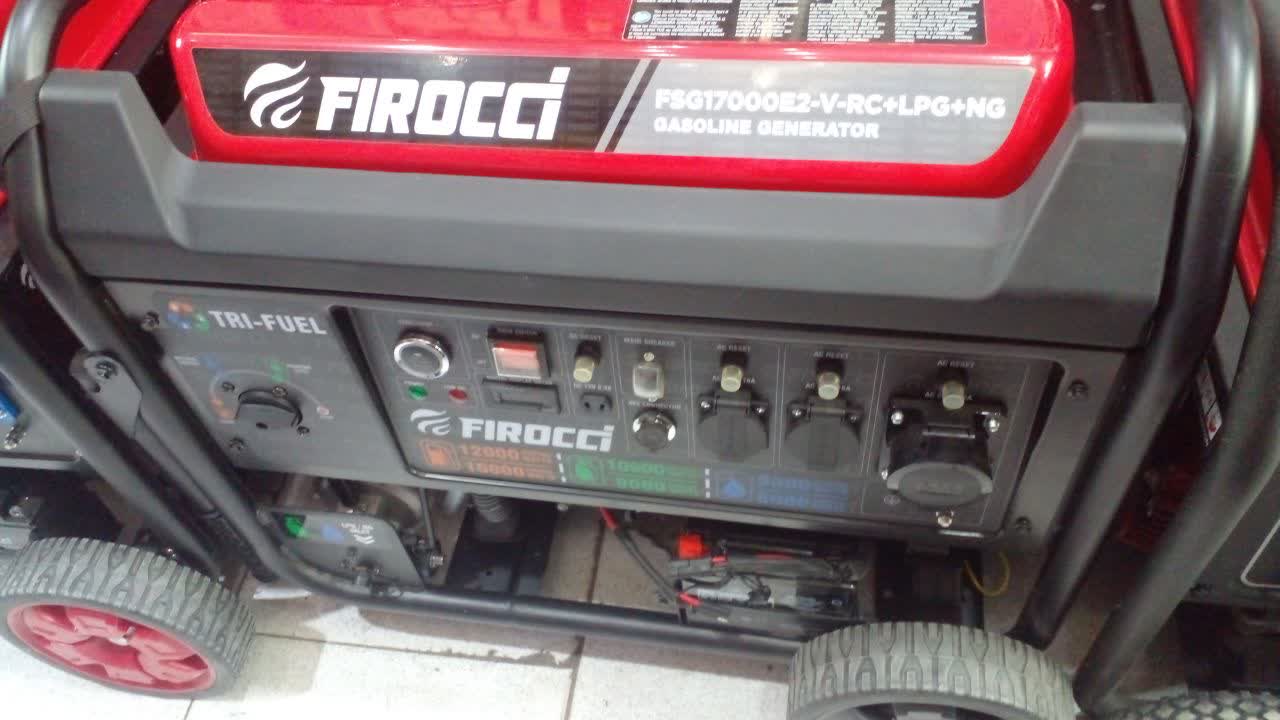 موتور برق فیروچی 21 اسب بخار مدل FRG17000E2-A-RC- EQ3