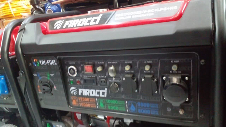 موتور برق فیروچی 21 اسب بخار مدل FRG17000E2-A-RC- EQ3
