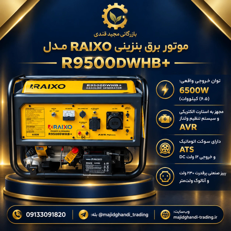 موتور برق رایکسو ۶/۵کیلو مدل R9500DWHB دارای سیستم ATS